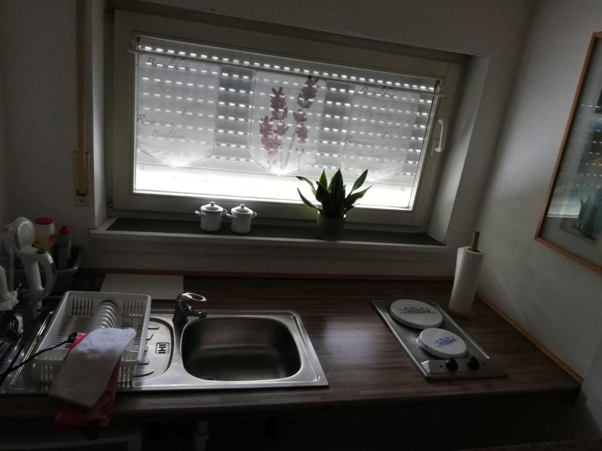 Ferienwohnung Holl Worms Buitenkant foto
